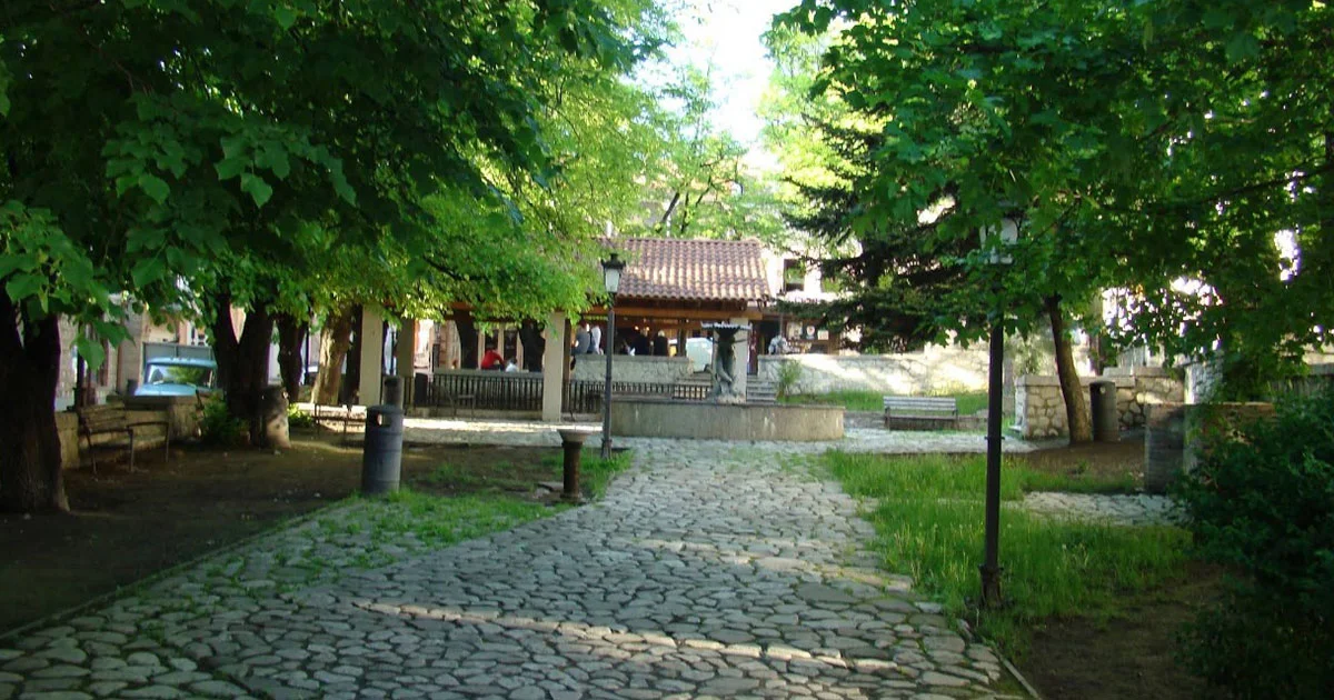 სიღნაღის 