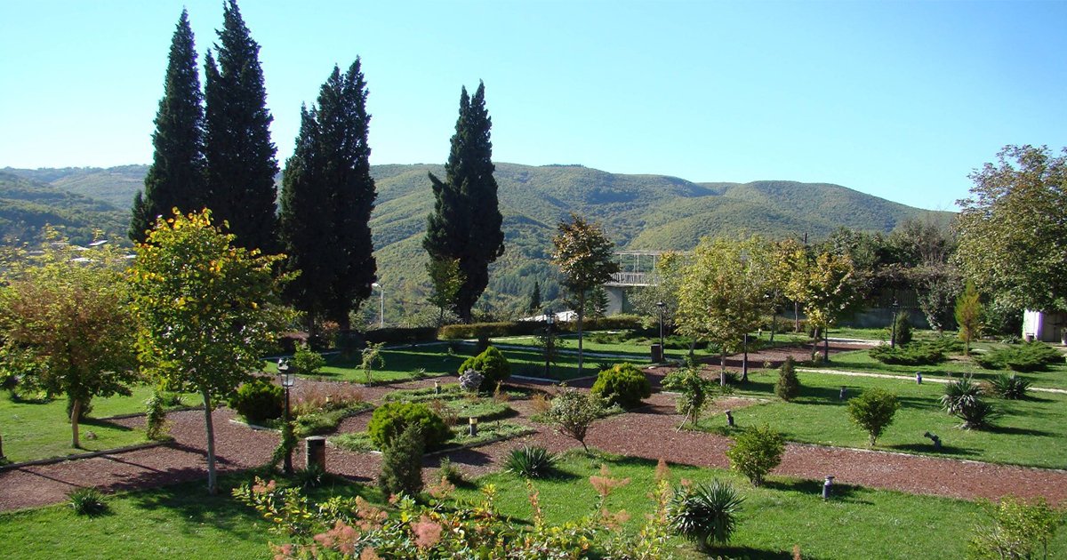 სიღნაღის 