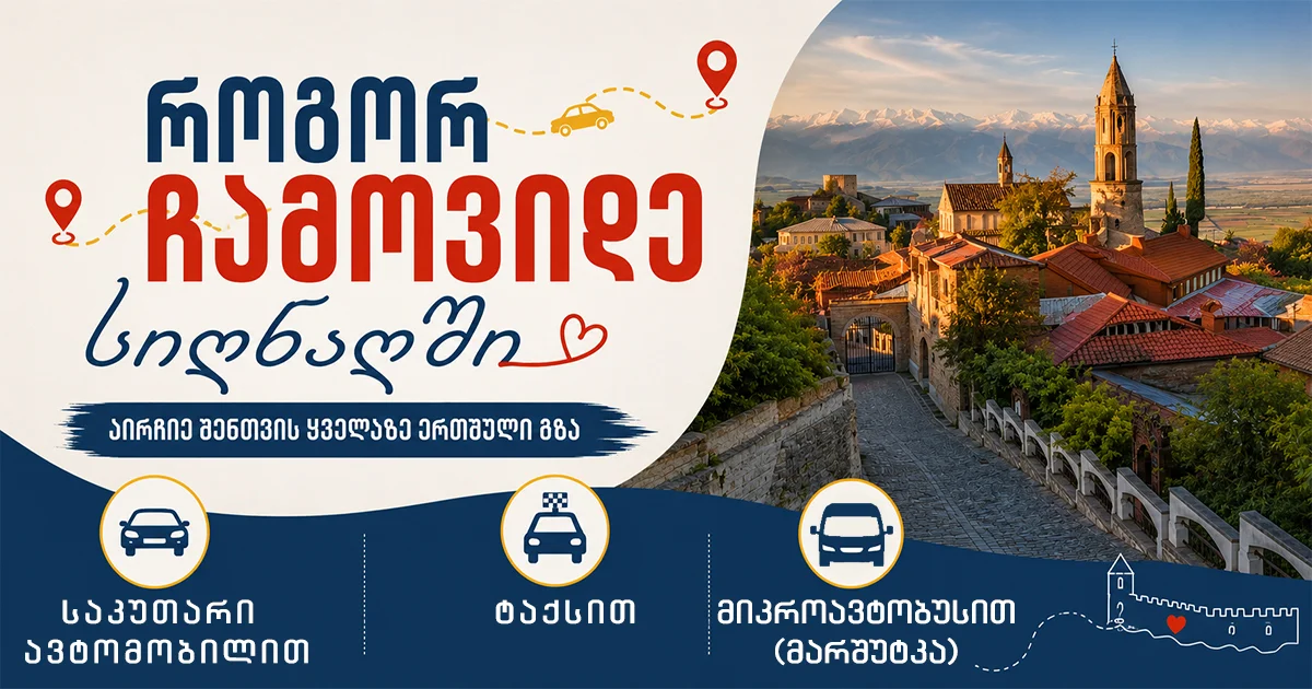 როგორ ჩავიდე სიღნაღში